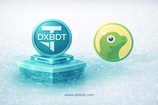 DXBDT CoinGecko Listing Application